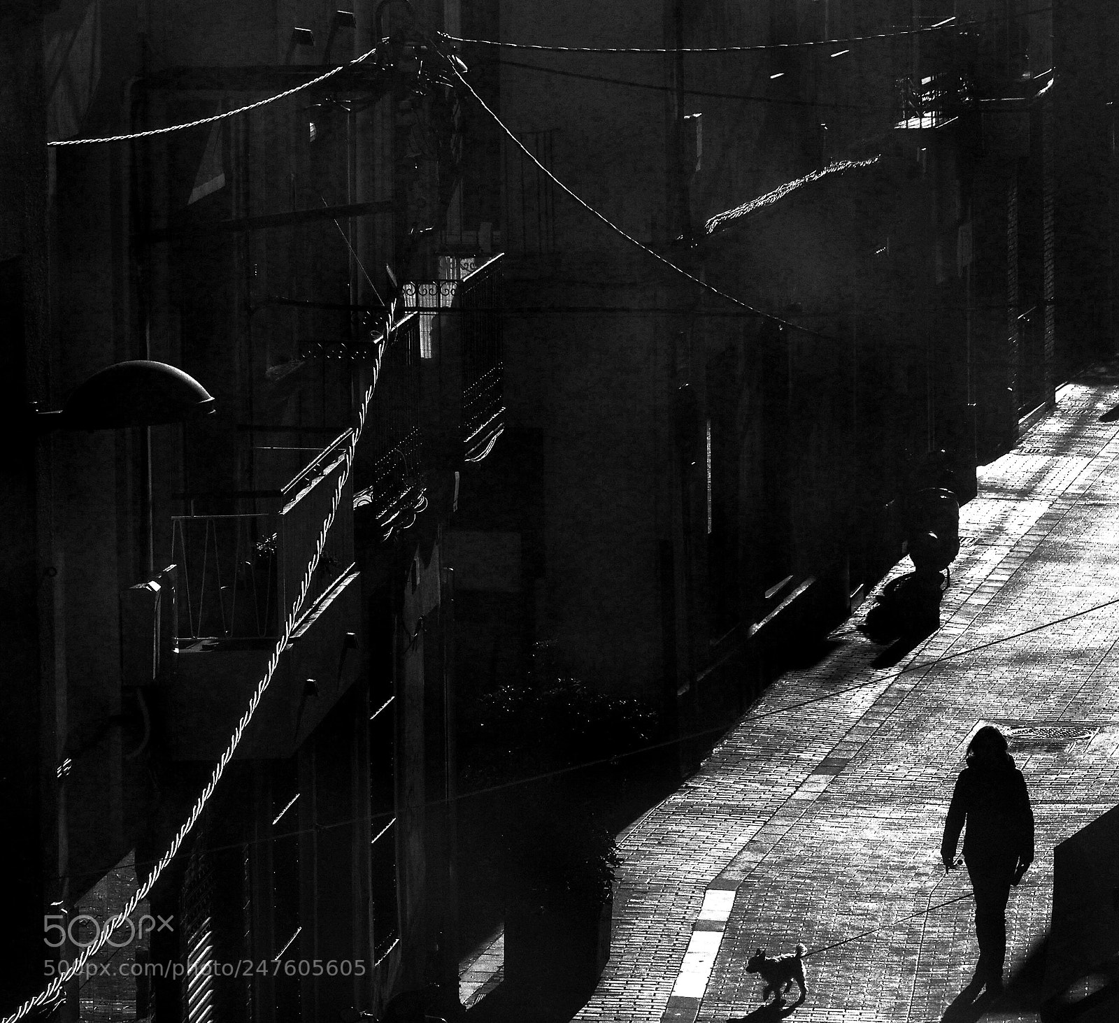 Olympus OM-D E-M5 II sample photo. Sol de tarda photography