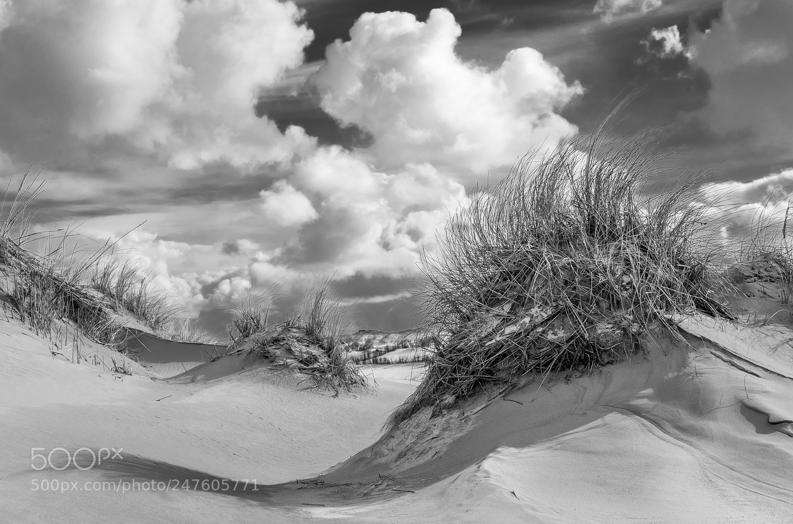 Fujifilm X-T1 sample photo. Norderney t4 photography