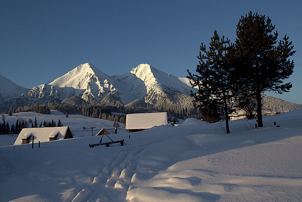 Canon EOS 600D (Rebel EOS T3i / EOS Kiss X5) sample photo. Frozen morning photography