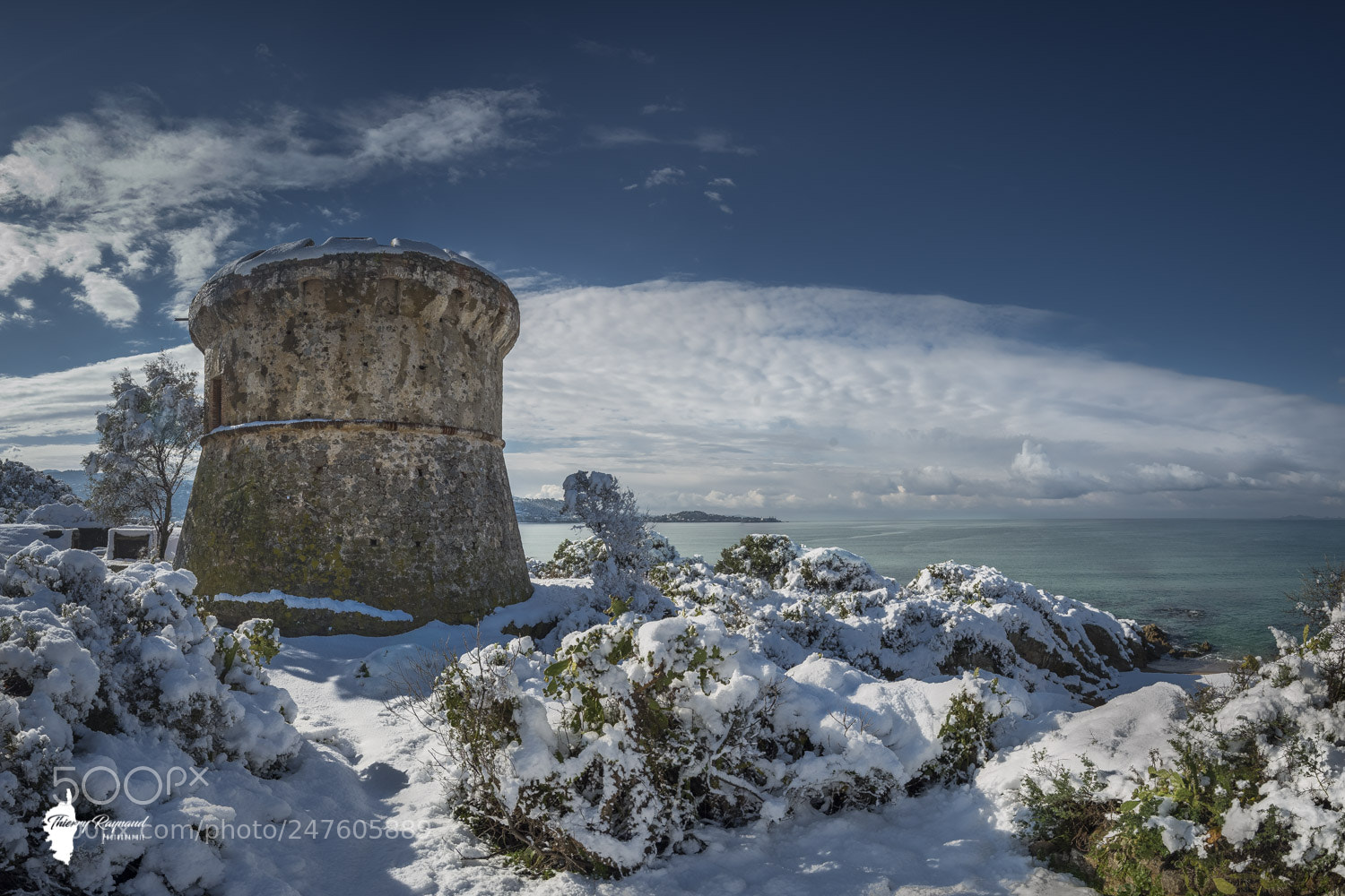 Nikon D600 sample photo. Sous la neige photography
