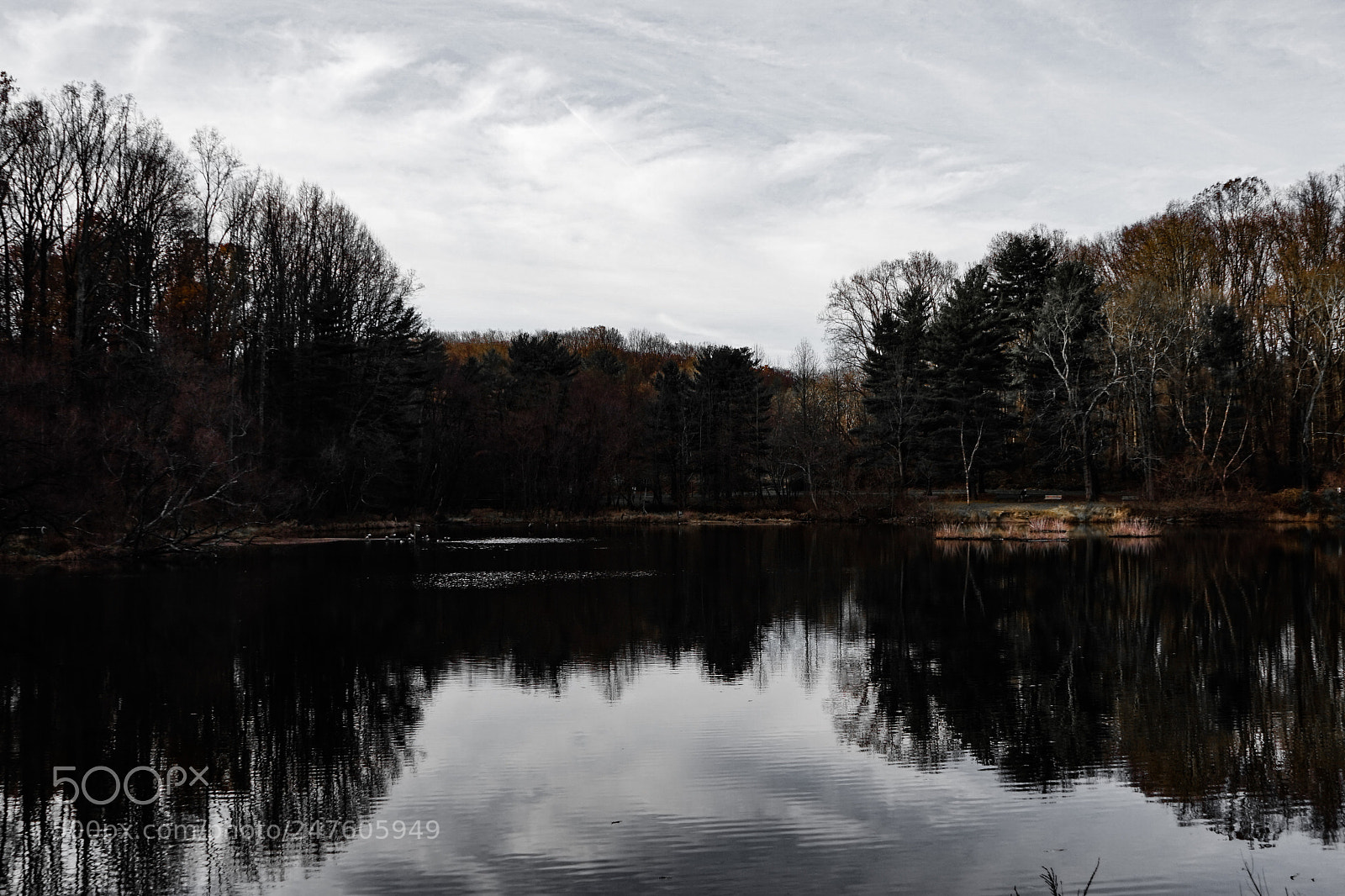 Sony a7 sample photo. Seeking balance. photography