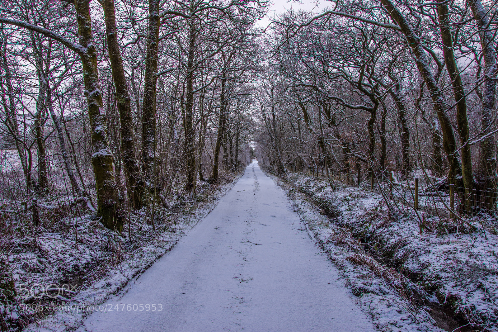 Nikon D7200 sample photo. Long walk home photography