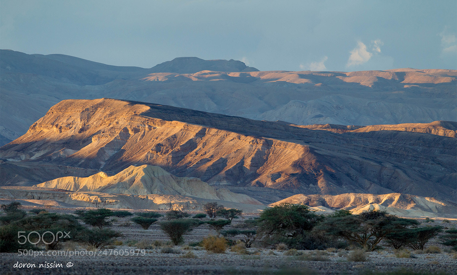 Canon EOS-1D Mark IV sample photo. Desert photography