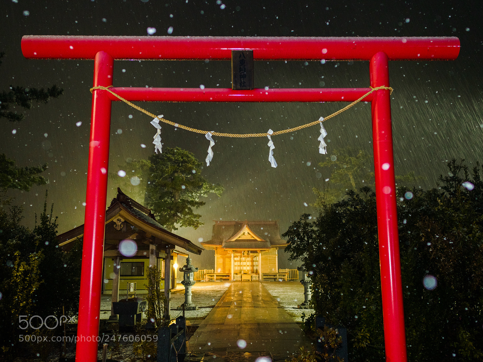 Olympus OM-D E-M1 Mark II sample photo. Snowing night photography