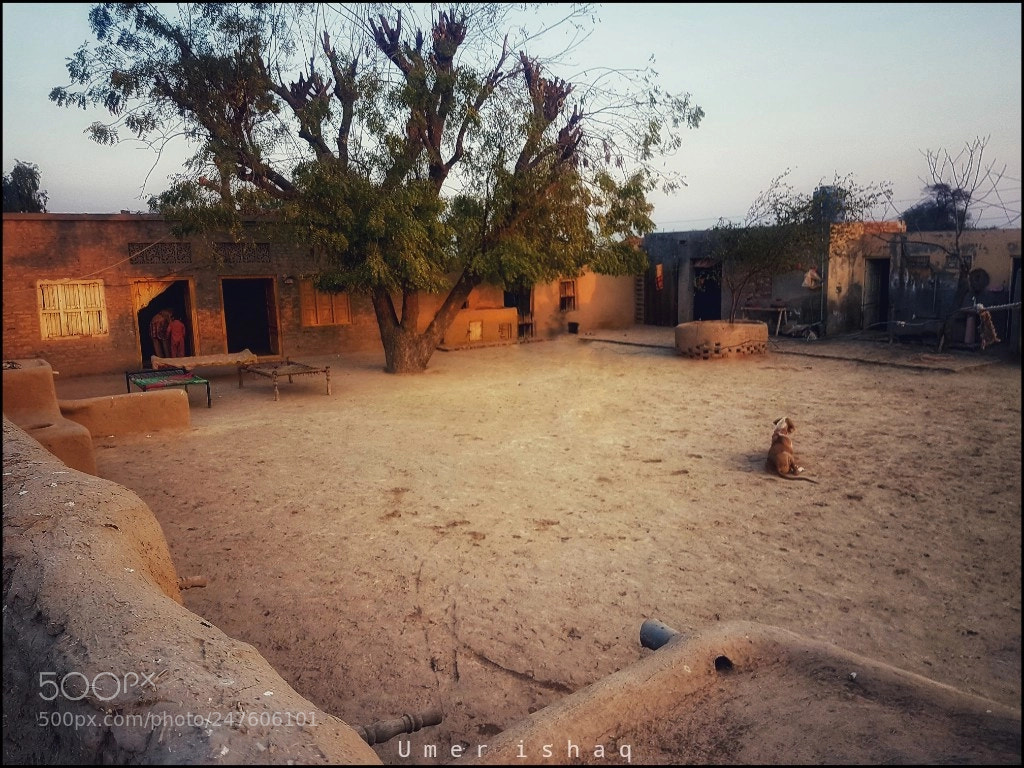 Samsung Galaxy S7 Edge sample photo. Village life photography