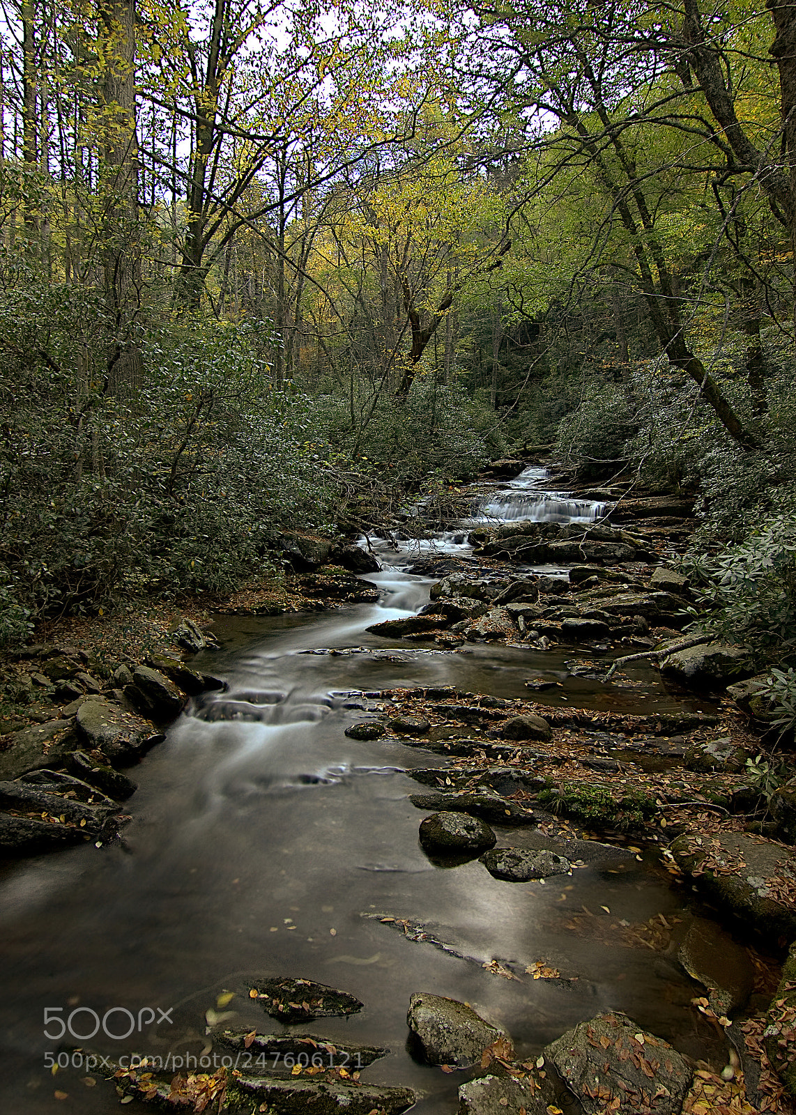 Canon EOS 550D (EOS Rebel T2i / EOS Kiss X4) sample photo. Chimney tops trail 2 photography