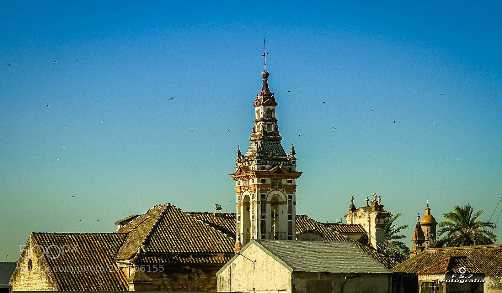 Canon EOS 7D sample photo. Iglesia y golondrinas photography
