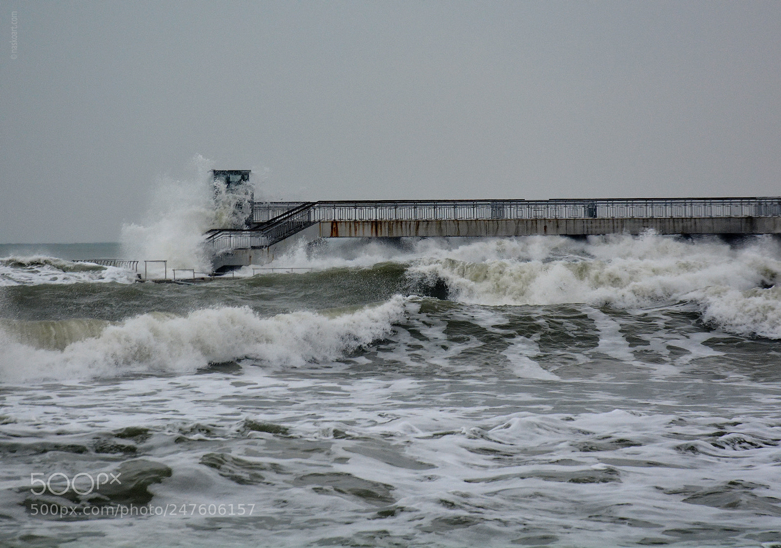 Nikon D5200 sample photo. Fury photography