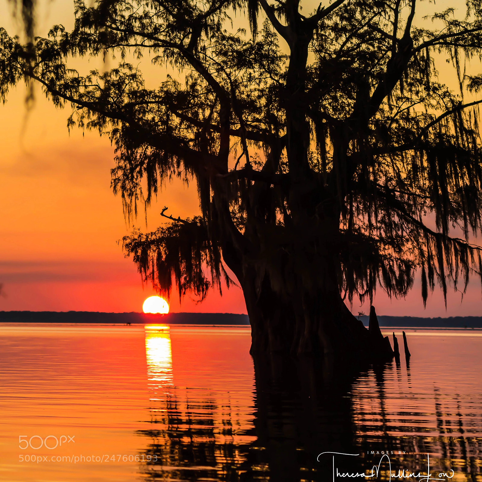 Canon EOS 7D Mark II sample photo. Atchafalaya sunset photography