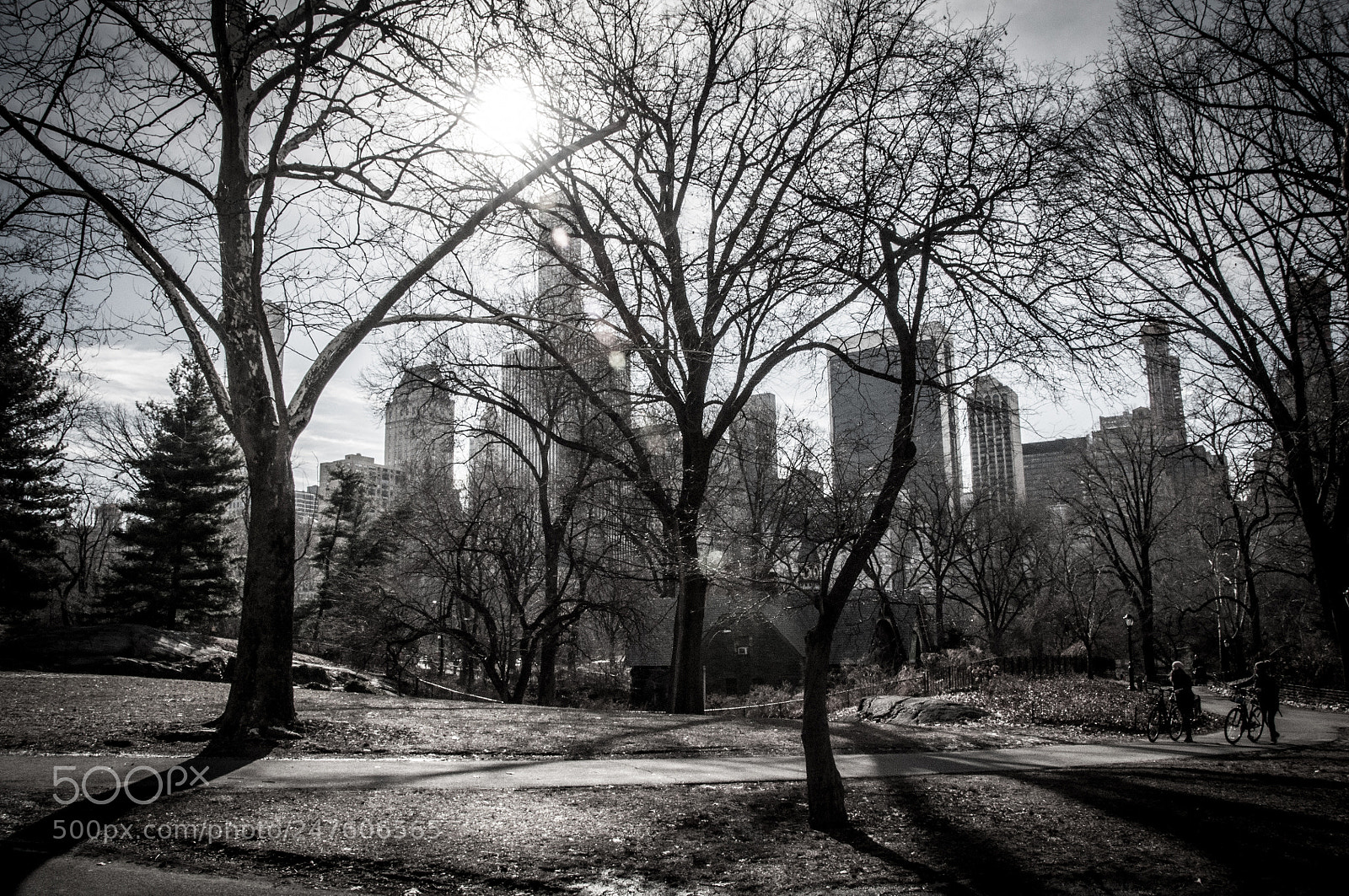 Nikon D90 sample photo. Golden hour photography