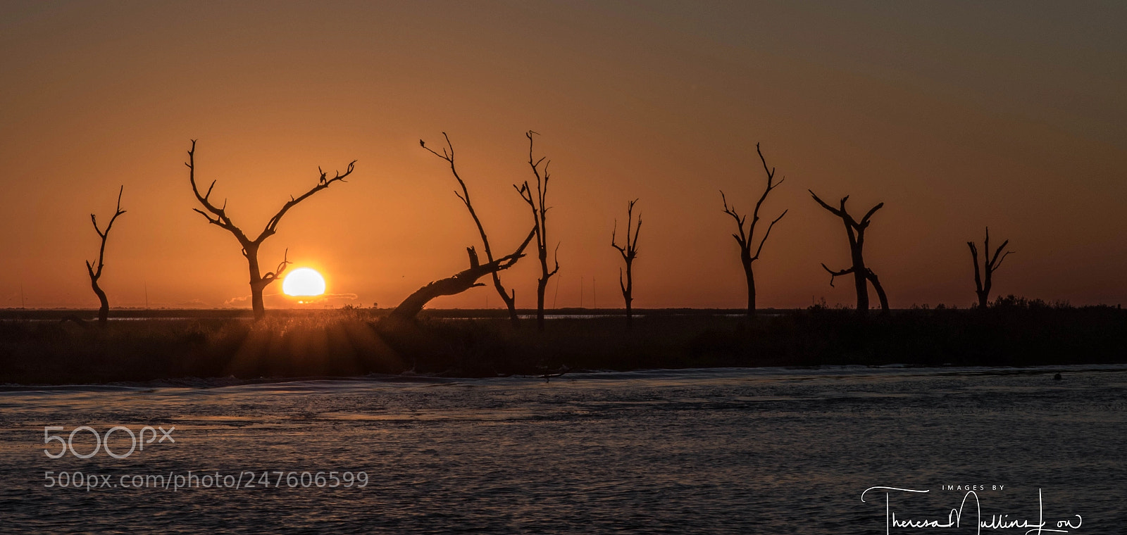 Canon EOS 7D Mark II sample photo. Pointe aux chenes photography