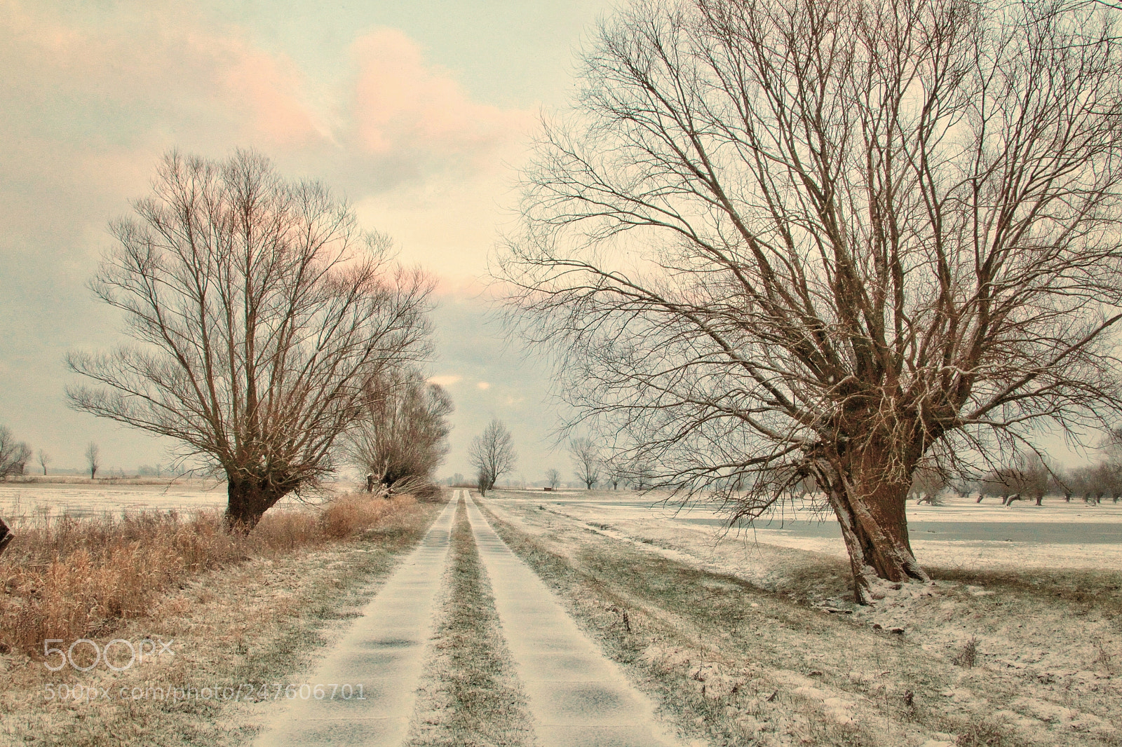 Canon EOS-1D Mark IV sample photo. Untitled photography