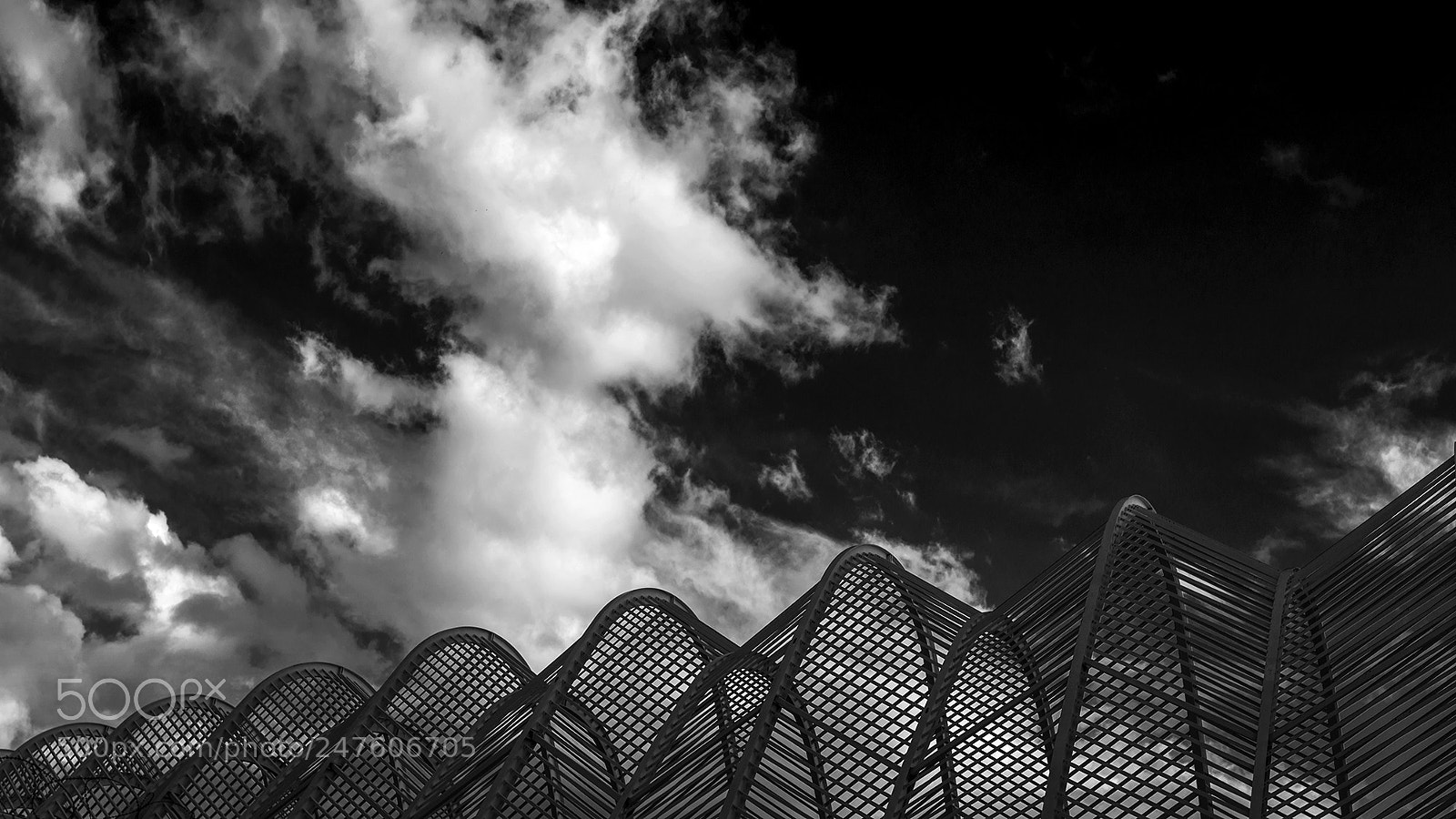 Nikon D800 sample photo. B&w photography