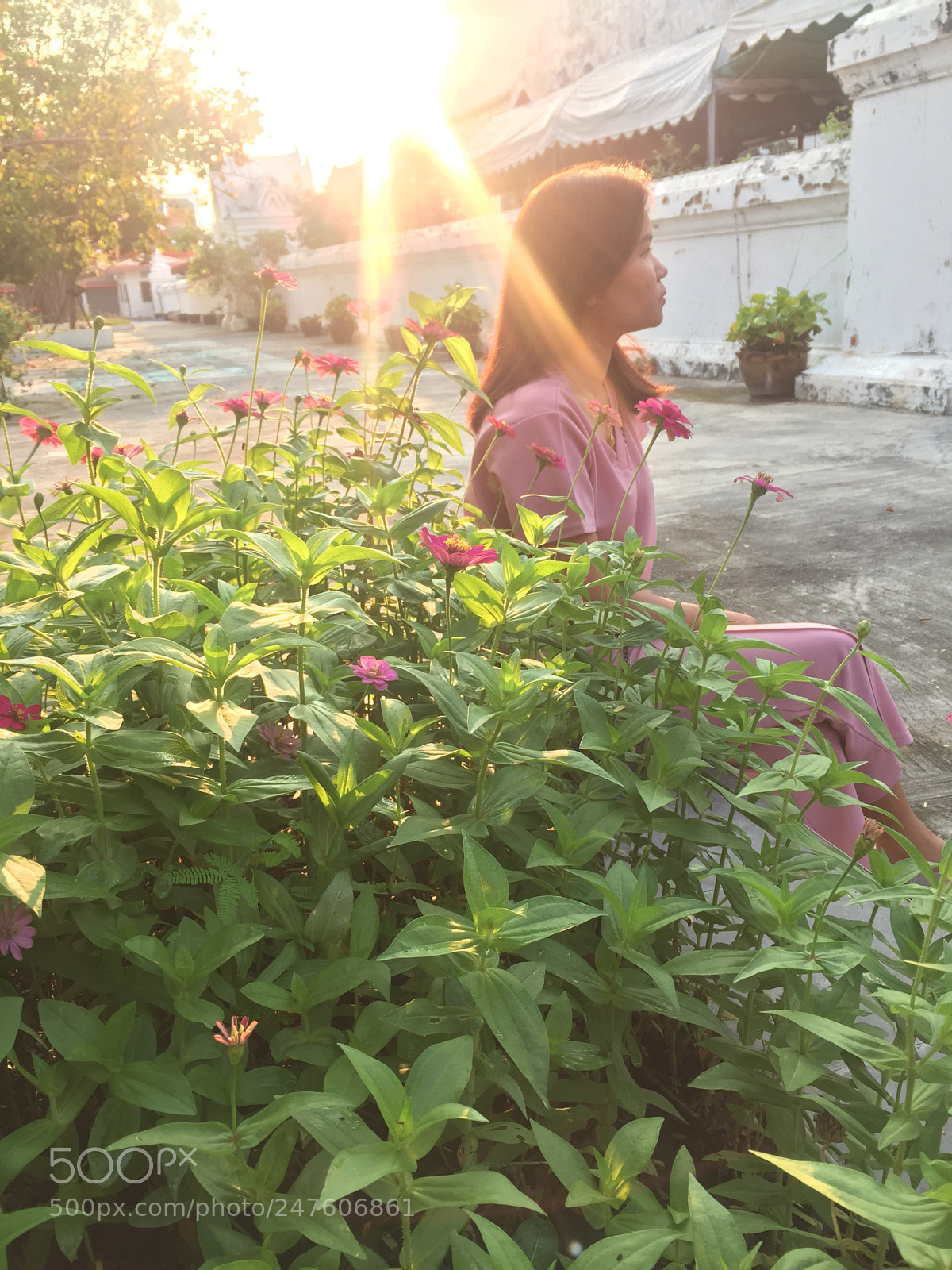 Apple iPhone 6 sample photo. Untitled photography