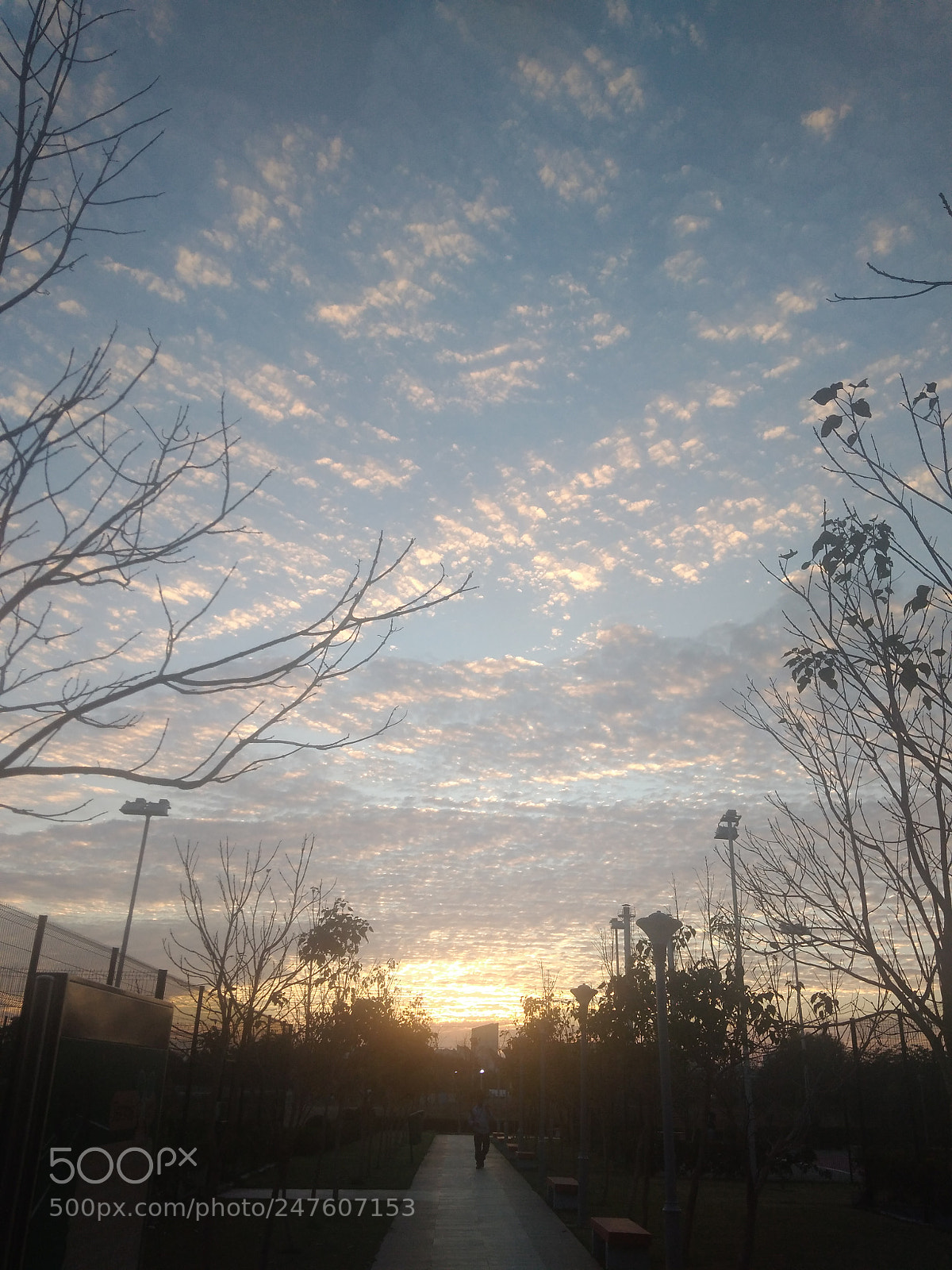 Xiaomi Redmi 4A sample photo. Untitled photography