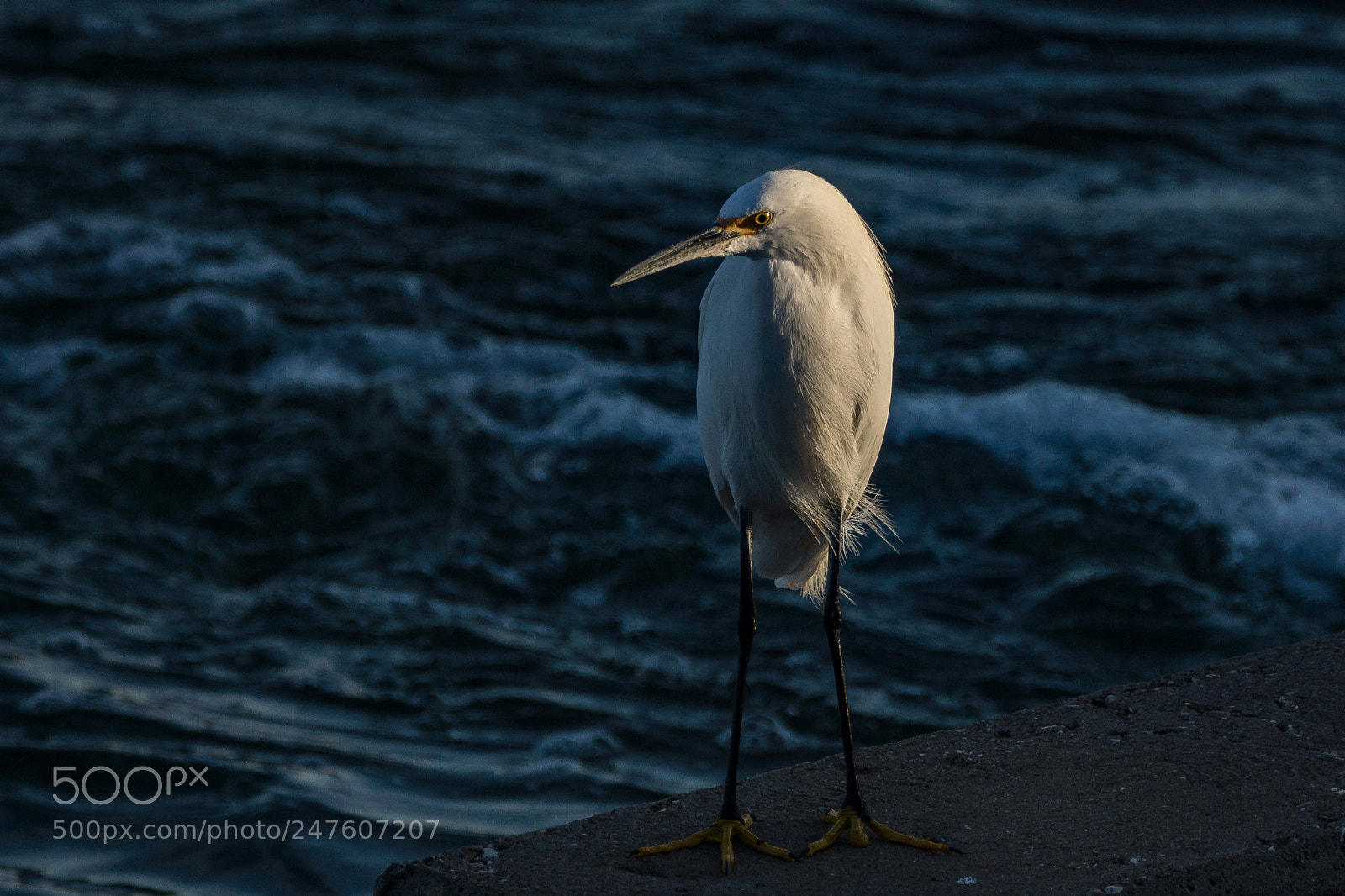 Sony SLT-A77 sample photo. At dusk photography