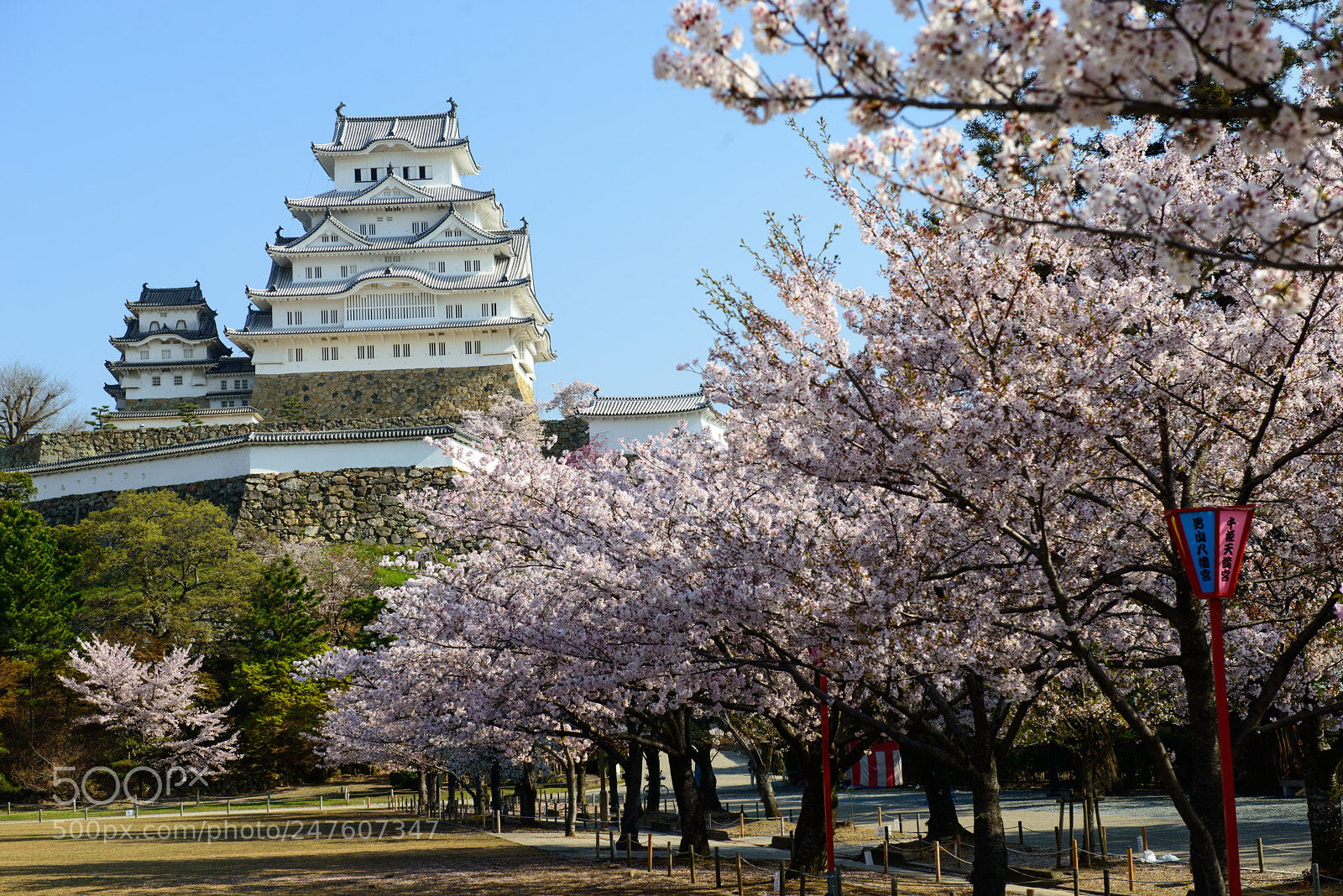 Nikon D800 sample photo. Himeji castle photography