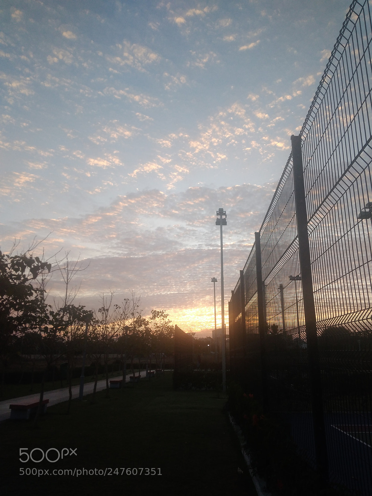 Xiaomi Redmi 4A sample photo. Untitled photography