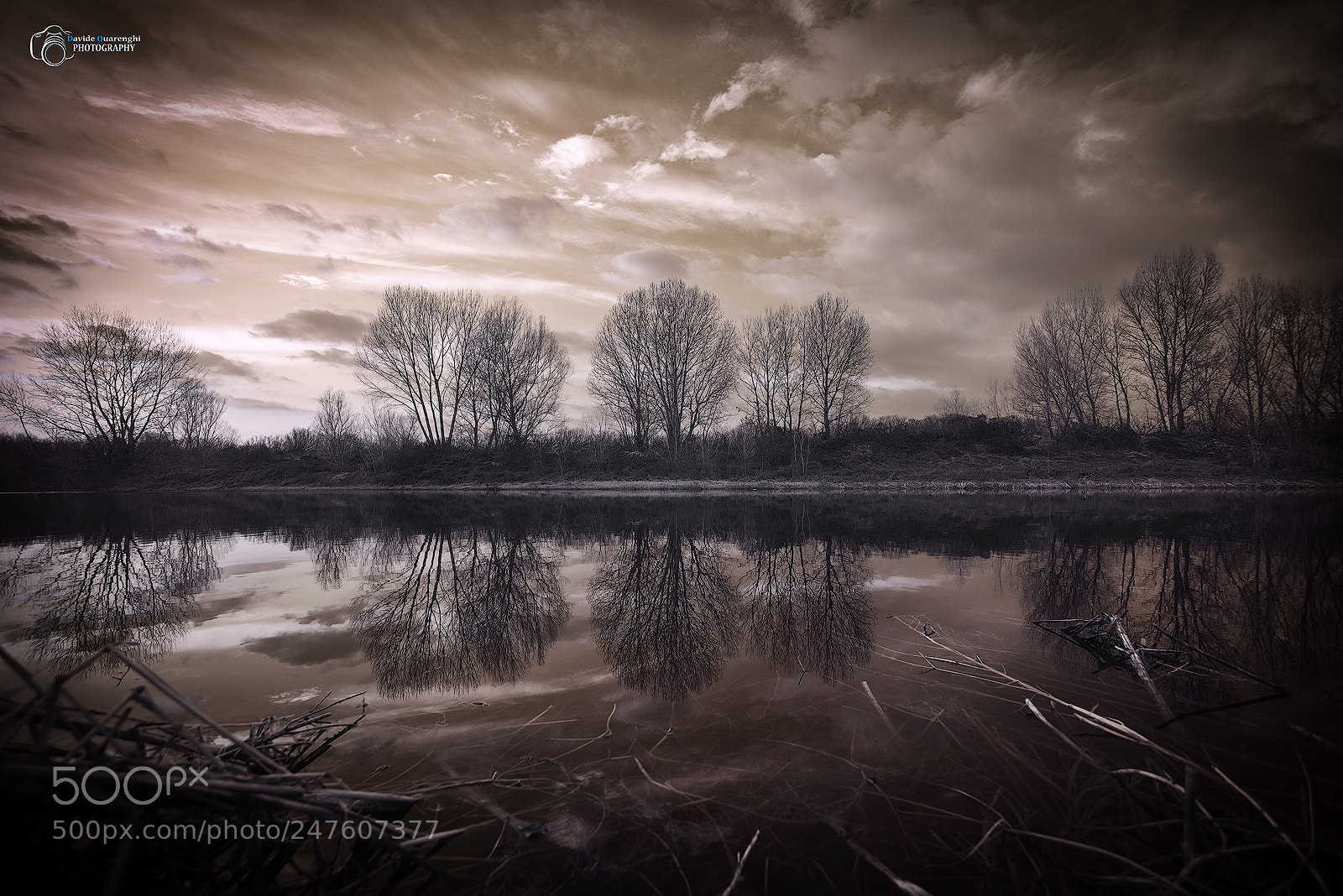 Nikon D600 sample photo. In my infrared world photography
