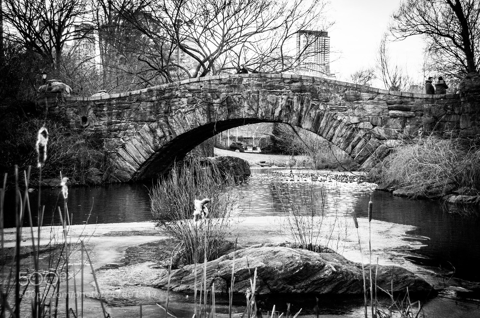 Nikon D90 sample photo. The pond photography
