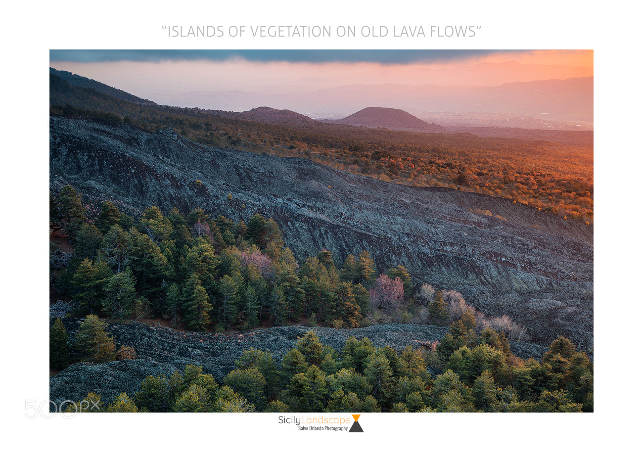 Canon EOS 5D Mark IV sample photo. Islands of vegetation on photography