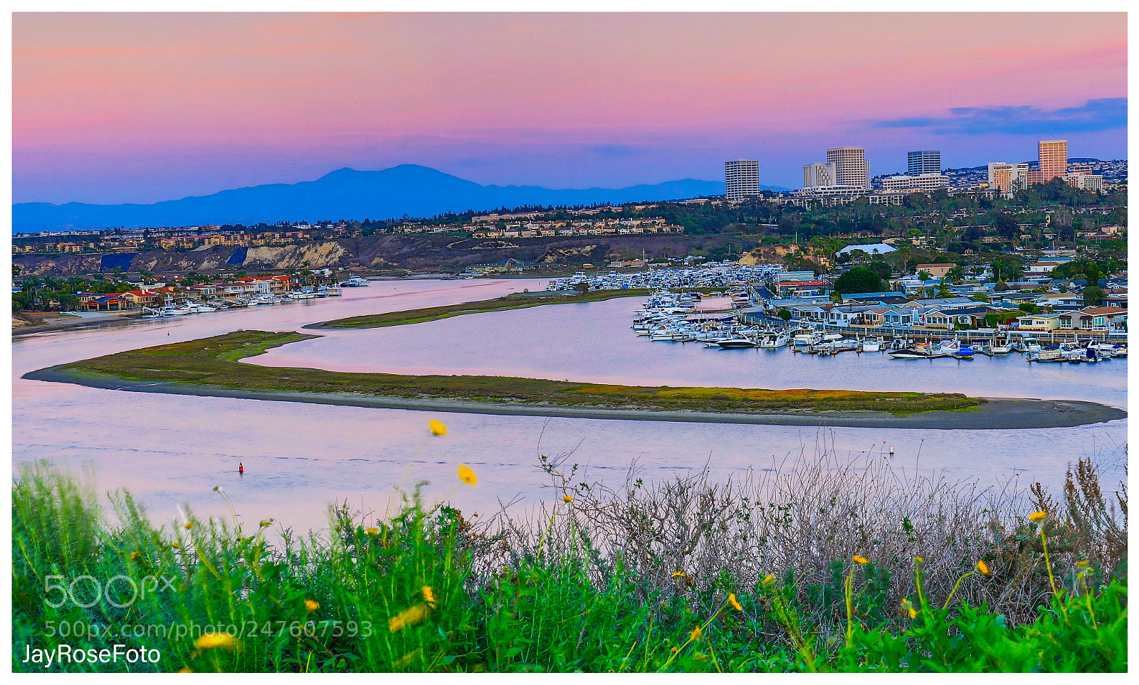 Canon EOS 5DS R sample photo. Bowed around the bow photography