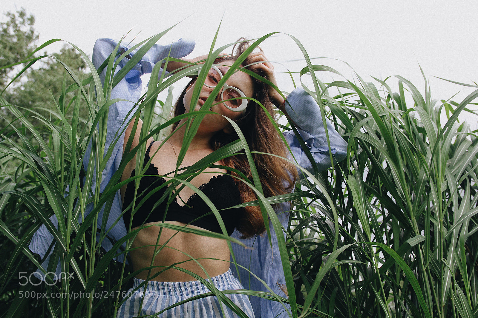 Canon EOS 60D sample photo. With the plants photography