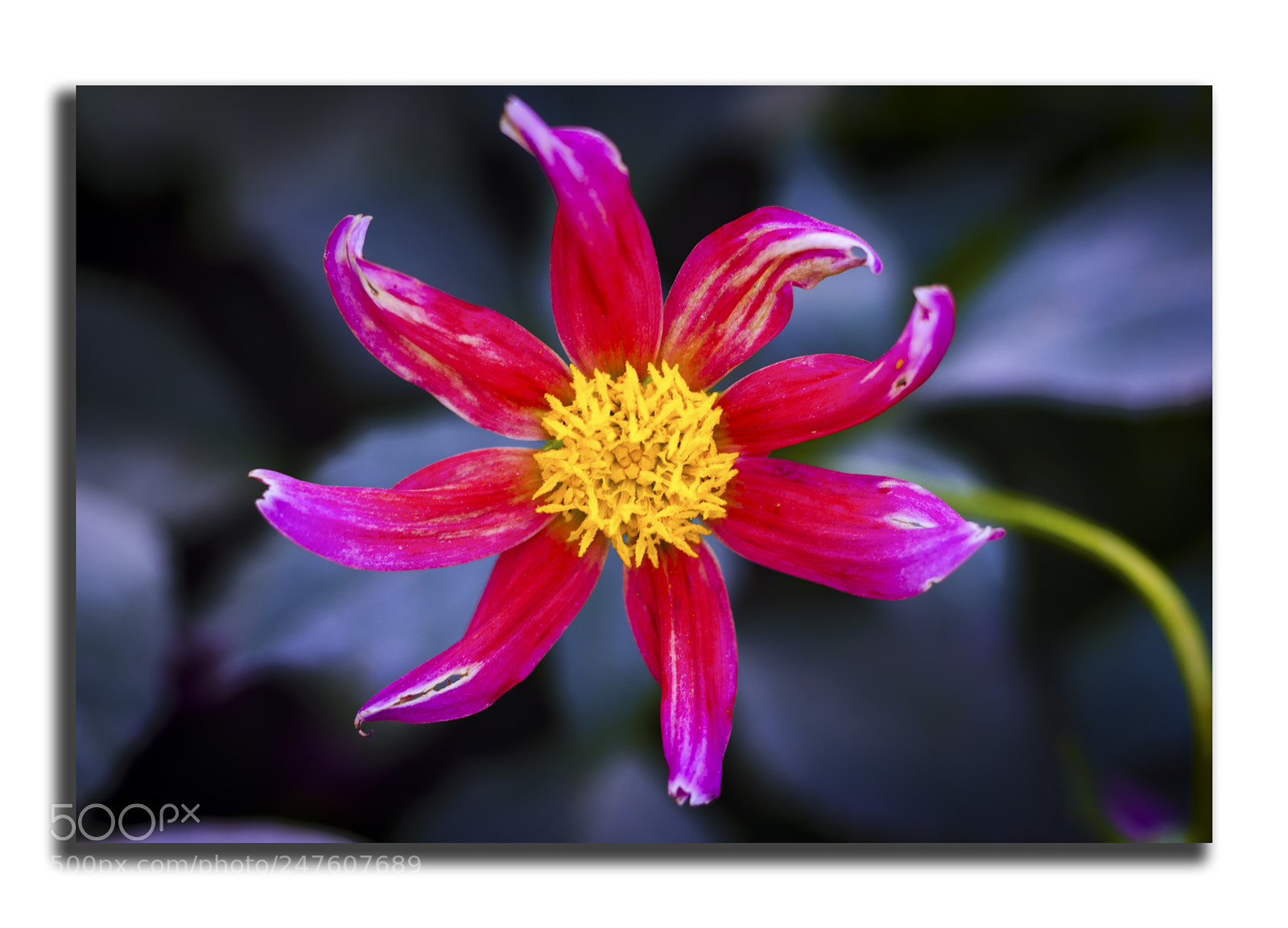 Canon EOS 77D (EOS 9000D / EOS 770D) sample photo. Untitled photography
