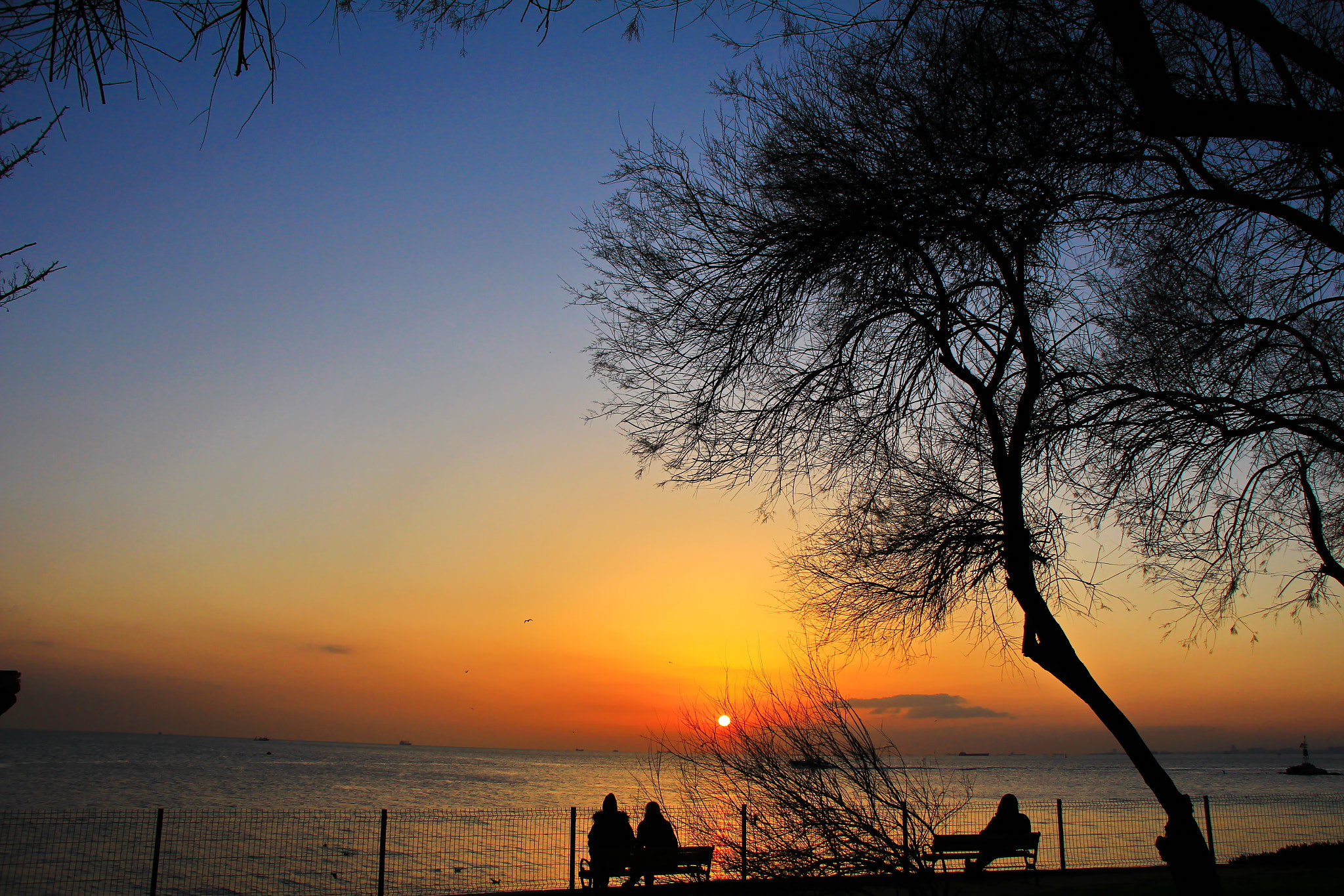 Canon EOS 60D sample photo