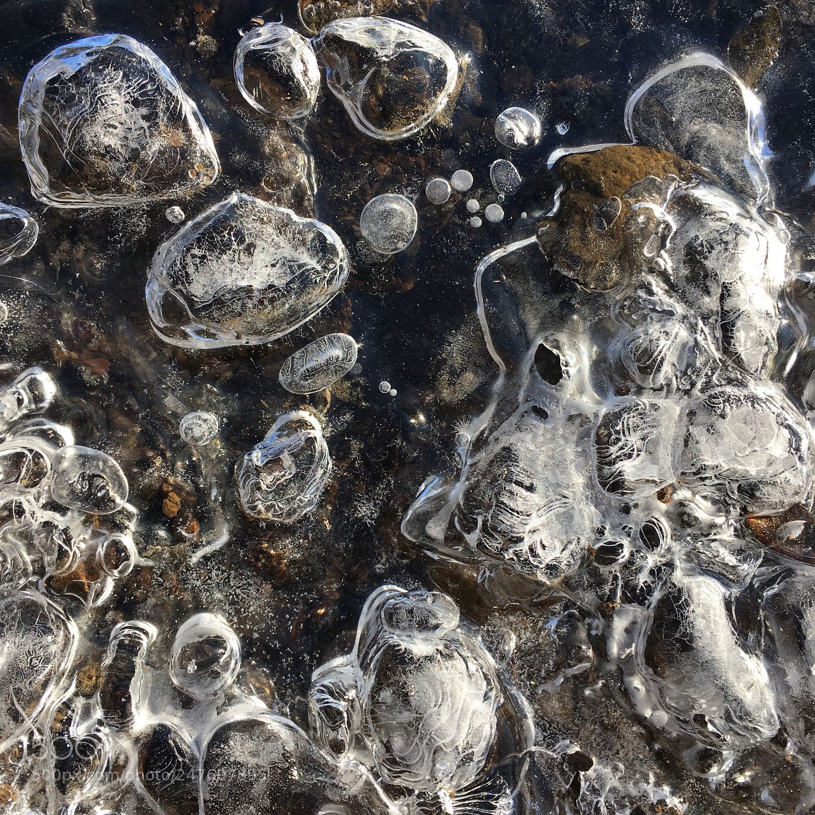 Apple iPhone SE sample photo. Spare bubbles photography