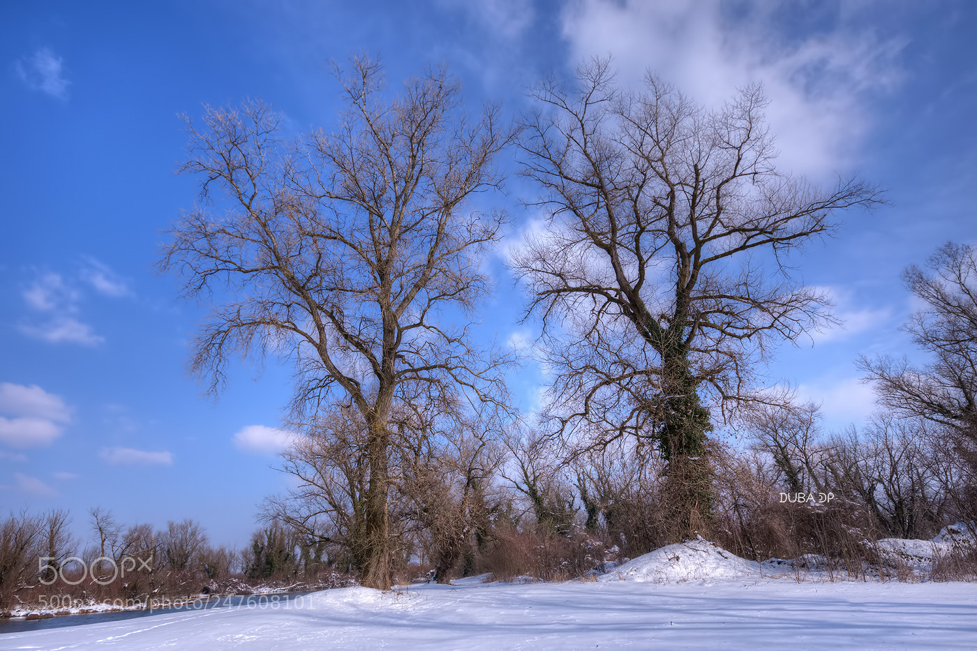 Nikon D7200 sample photo. Hands to sky photography