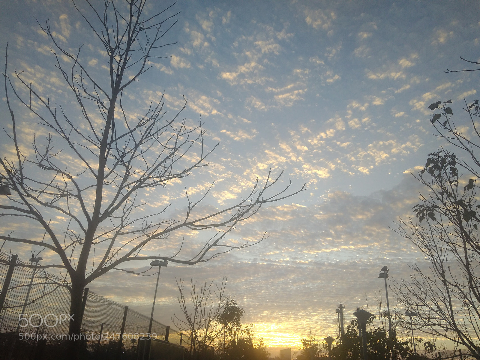 Xiaomi Redmi 4A sample photo. Untitled photography