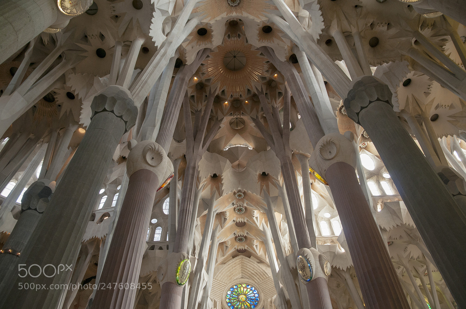 Nikon D300S sample photo. Sagrada familia photography
