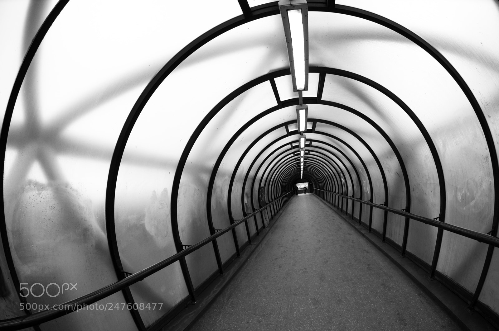 Nikon D300S sample photo. Tunnel (4) photography