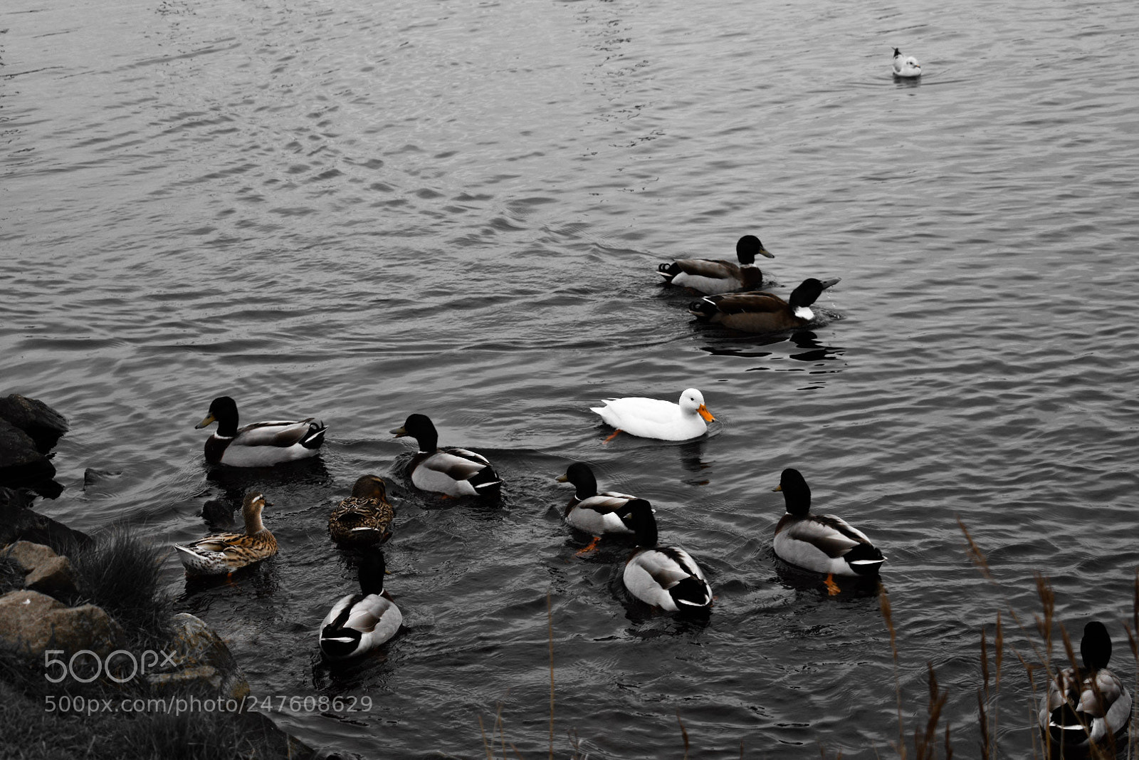 Nikon D3400 sample photo. Just different photography