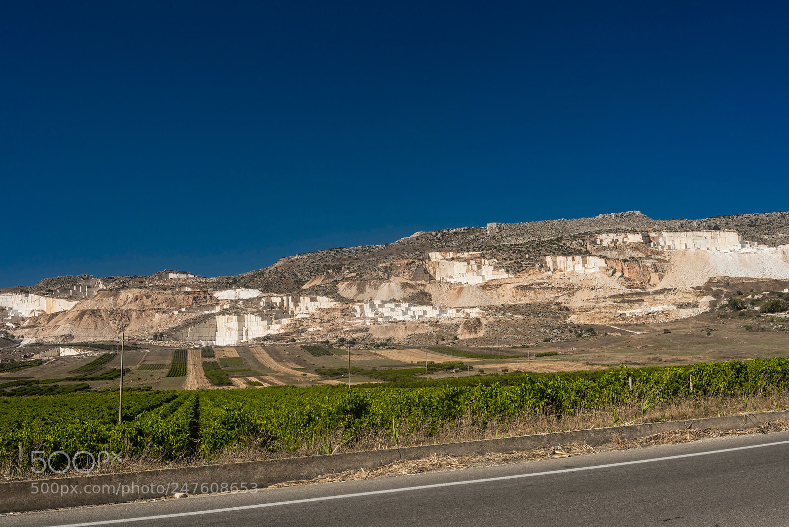 Nikon D800 sample photo. 38831345985.jpg photography