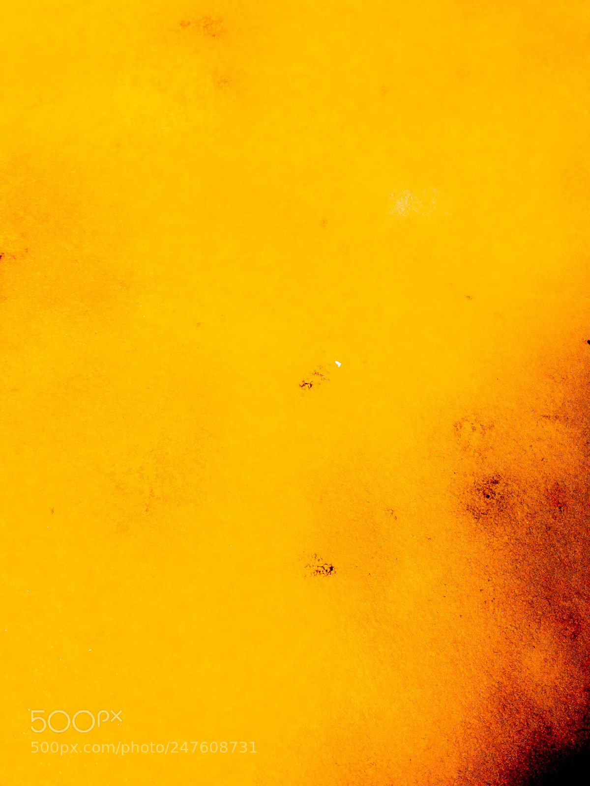Apple iPhone 5c sample photo. Untitled photography