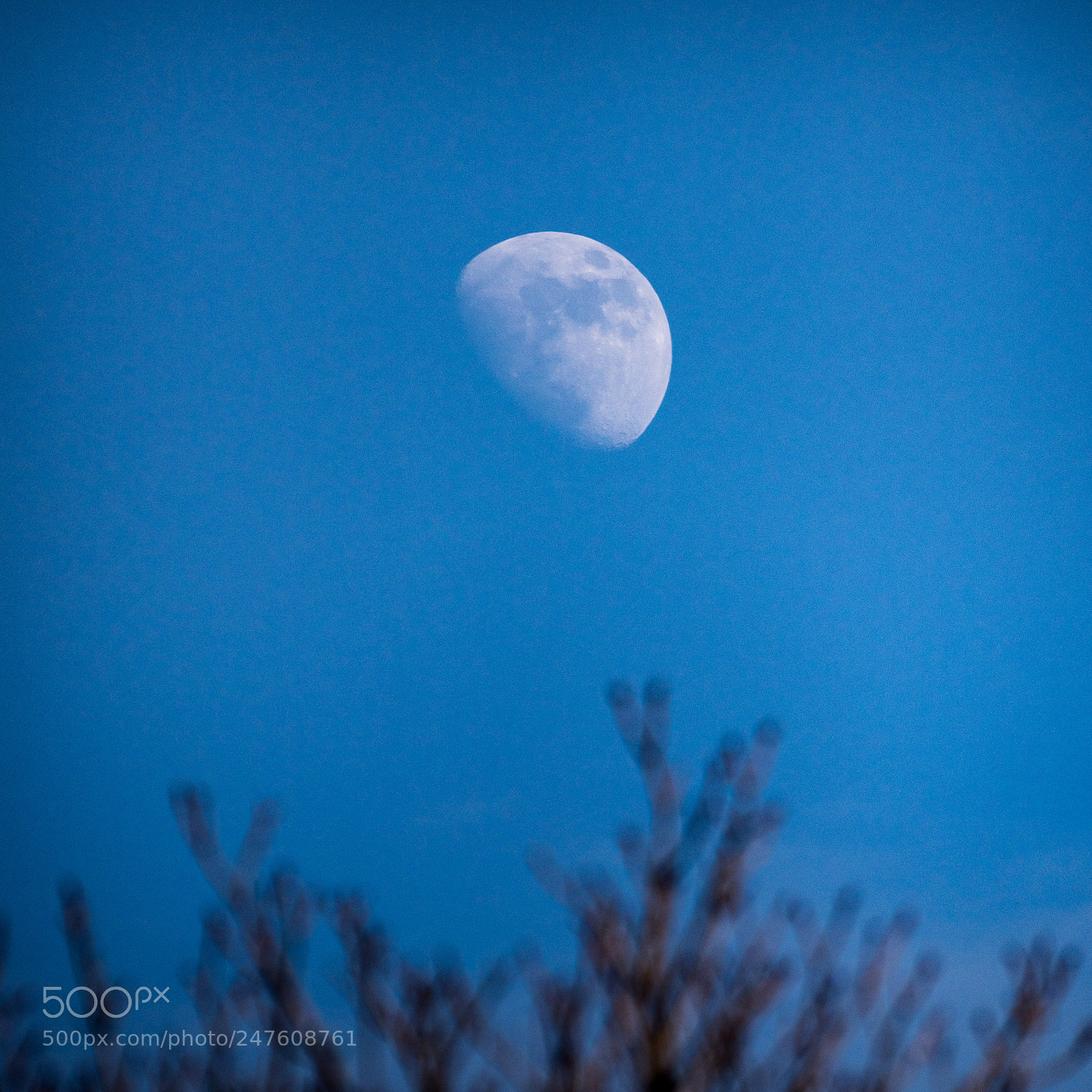 Nikon D810 sample photo. Moon in the daytime photography