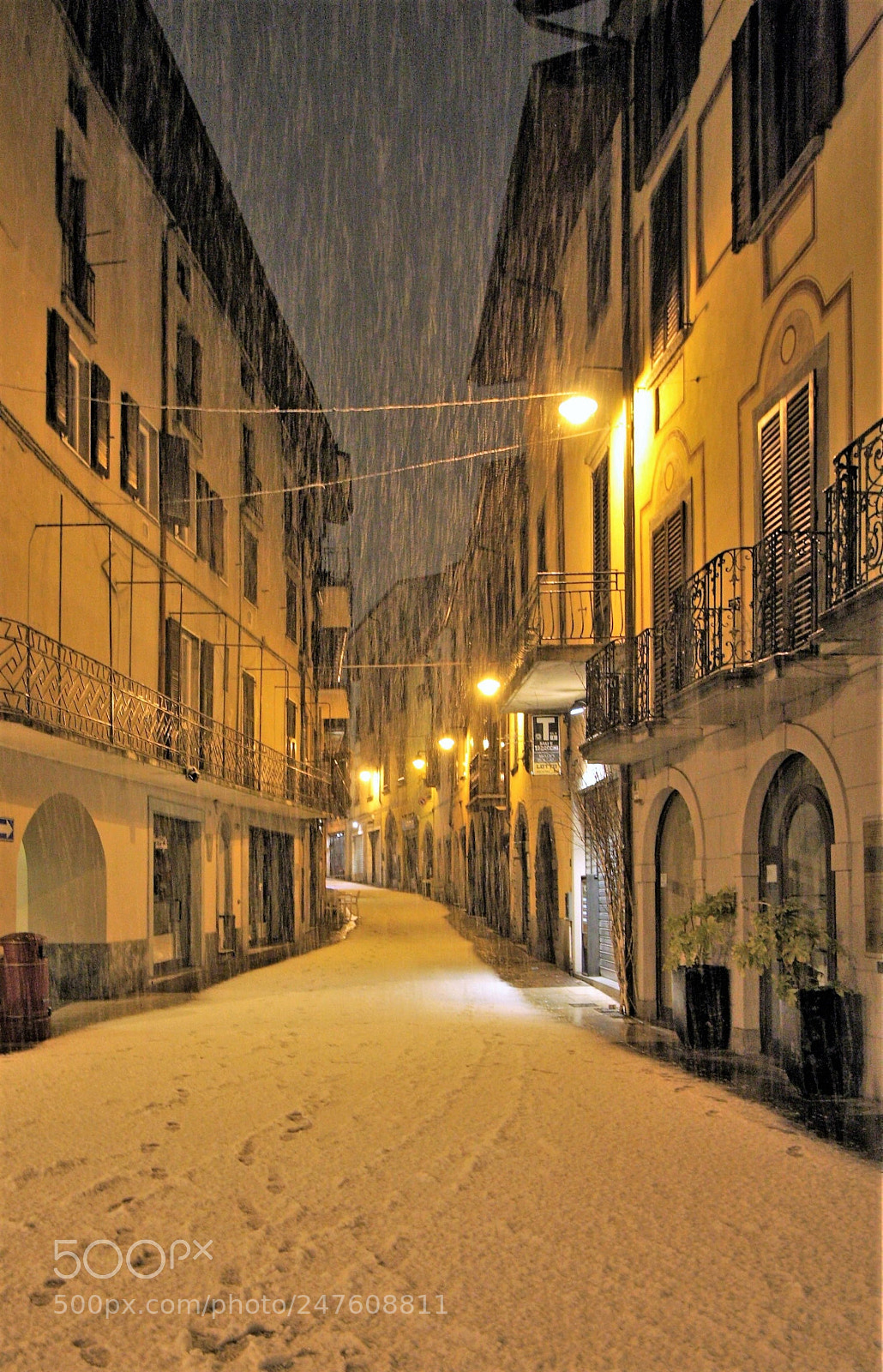 Canon EOS 40D sample photo. Big snow in my photography