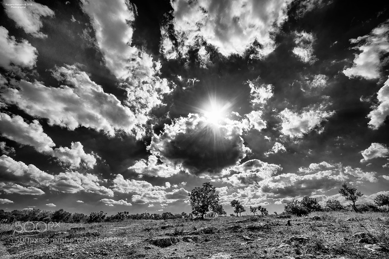 Nikon D700 sample photo. Il sole dietro le photography