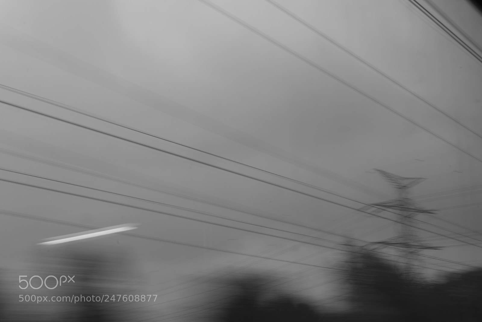 Nikon D600 sample photo. On the train road photography