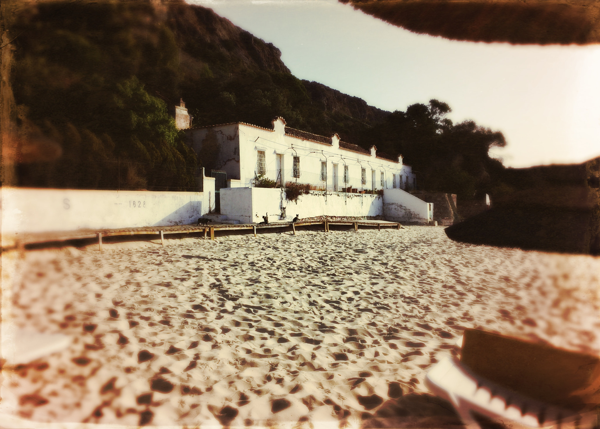 Hipstamatic 339 sample photo. 37718666682.jpg photography