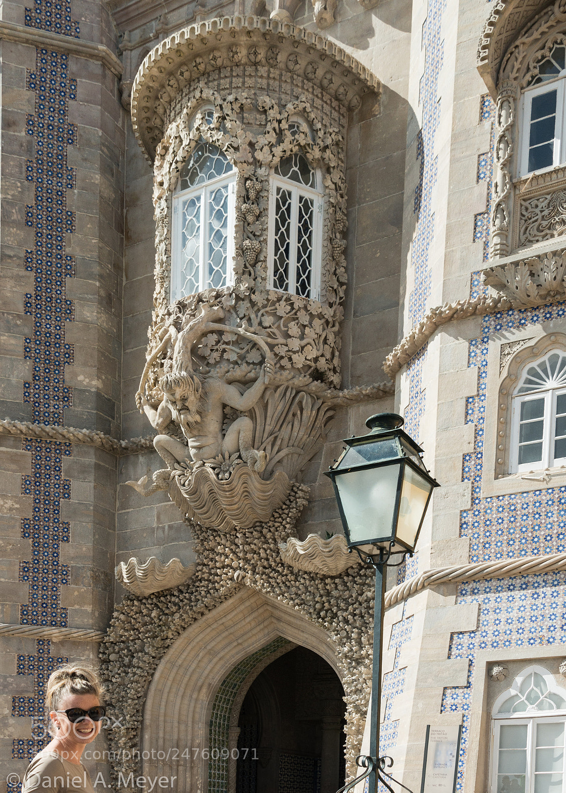 Nikon D800 sample photo. 37093268073.jpg photography