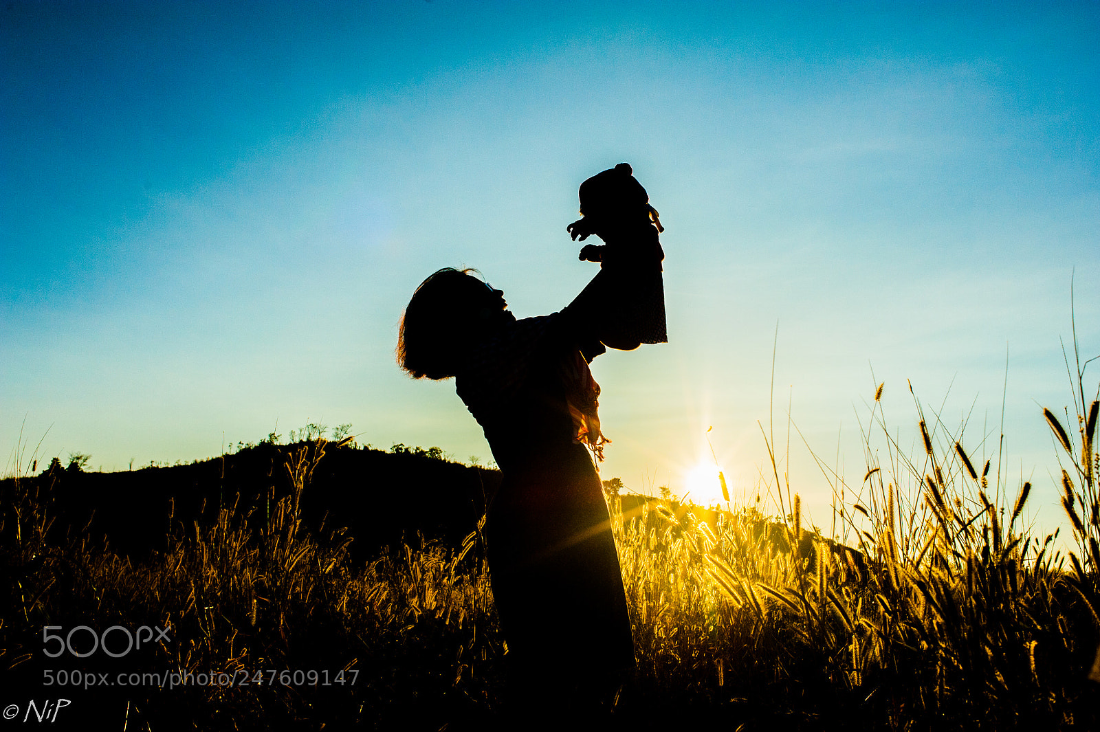 Nikon D700 sample photo. Dance under the sun photography