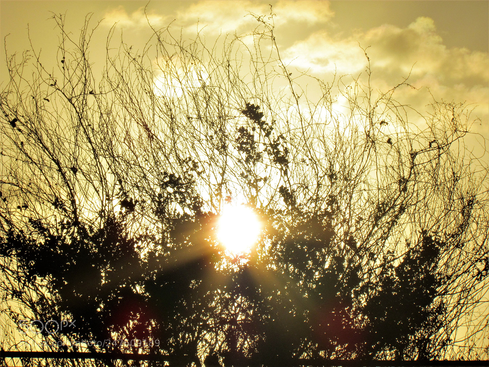 Canon PowerShot SX30 IS sample photo. Evening sunset photography