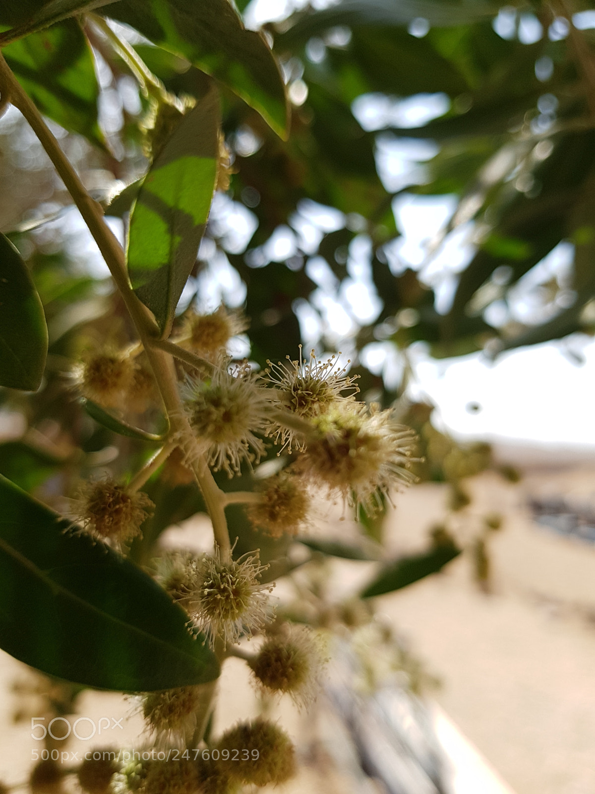 Samsung Galaxy S7 Edge sample photo. Untitled photography