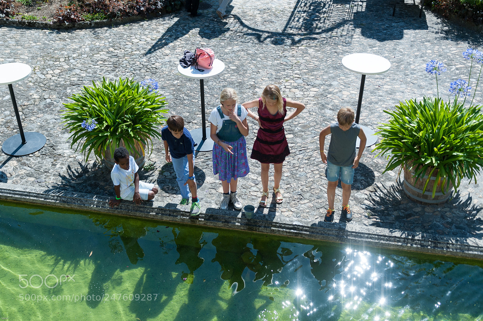 Nikon D700 sample photo. 36357837624.jpg photography