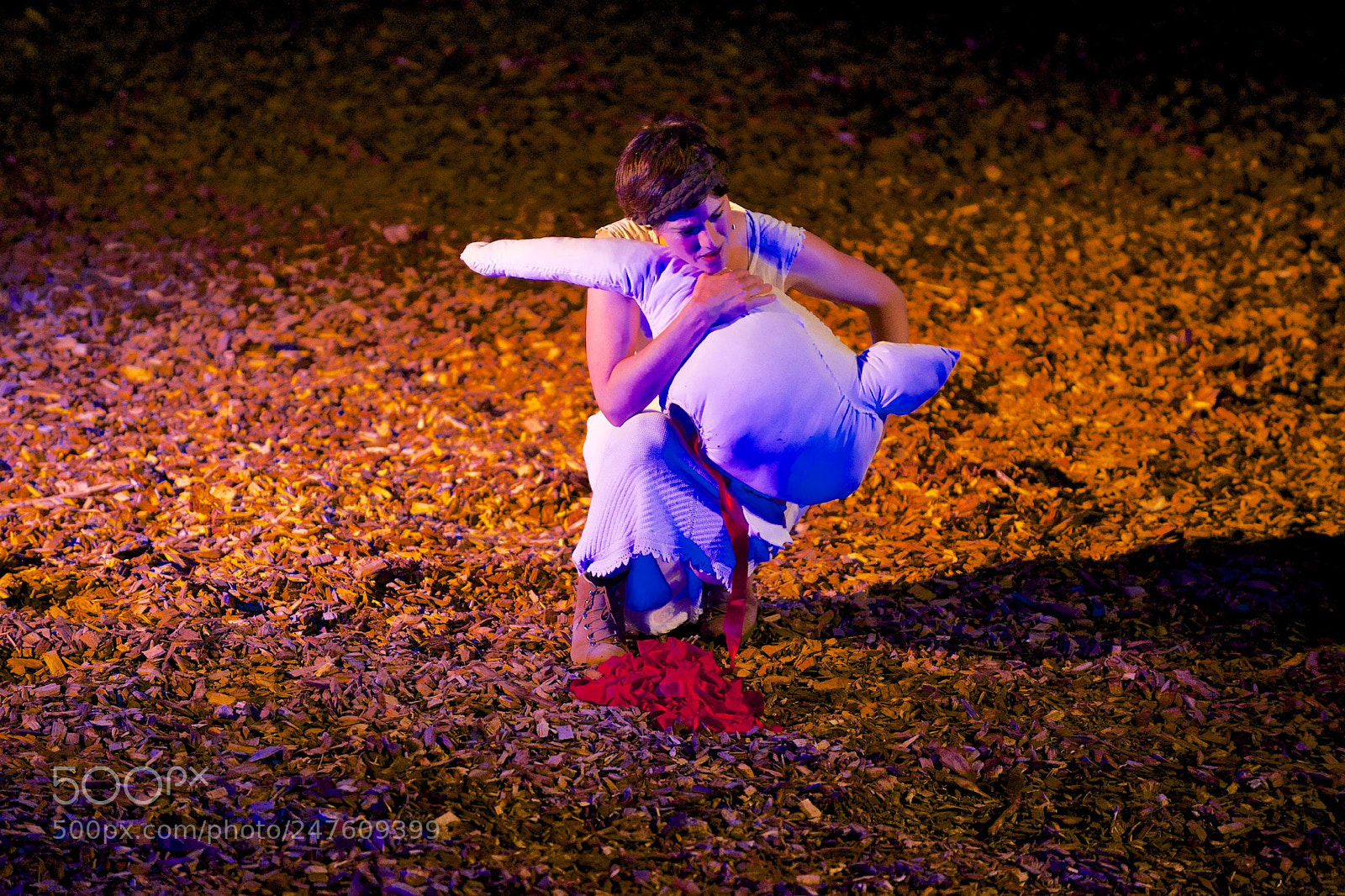 Nikon D800 sample photo. 35372225814.jpg photography