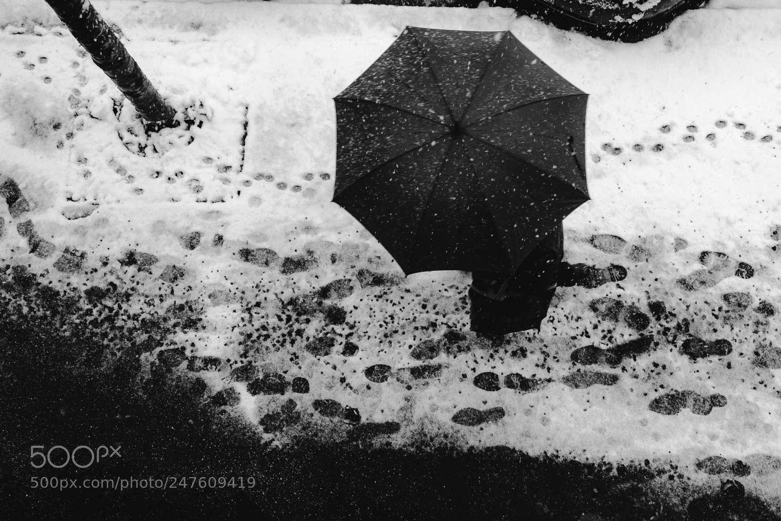 Fujifilm X-T2 sample photo. Untitled photography