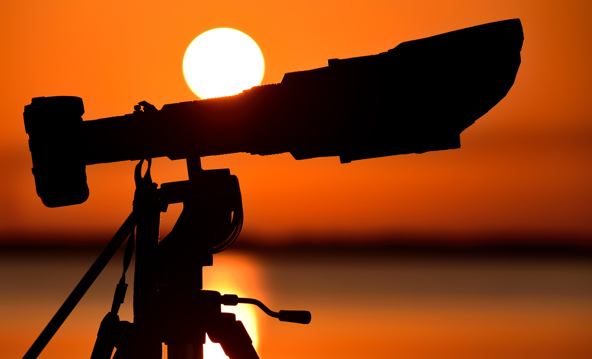 Sigma 150-600mm F5-6.3 DG OS HSM | S sample photo. Sunset time photography